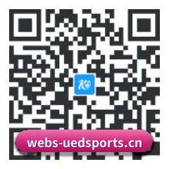 系统版 iOS 二维码